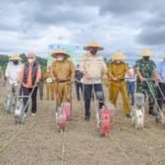 Morut Canangkan Jagung Sebagai Komoditas Unggulan