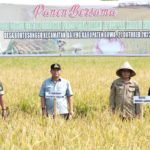 Panen Raya di Gowa, Sulsel Sukses Tangani Dampak El Nino