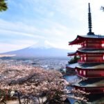 Rekomendasi Pemandu Wisata Halal di Jepang