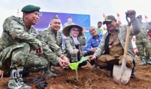 Pangdivif 3 Kostrad Siapkan Lahan 100 Hektar untuk Budidaya Pisang Cavendish