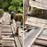 Viral Ibu dan Anak Jatuh ke Sungai Saat Lewati Jembatan Salu Rongkong Luwu Utara