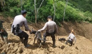 Anjing Pelacak K-9 Dikerahkan Cari Korban Longsor Bonglo Bastem Utara