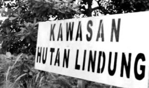 Sejumlah Proyek Jalan di Luwu Diduga Masuk Dalam Kawasan Hutan Lindung