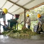 IMIP Wujudkan Pengelolaan Sampah Organik Berkelanjutan, Hasilkan Kompos dan Maggot