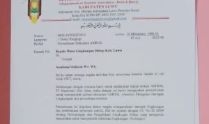 IMM Luwu Desak DLH Buka Dokumen AMDAL PT Masmindo: Investasi Tak Boleh Tutupi Hak Rakyat