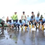 PT Taspen Palopo dan DLH Luwu Tanam 1.700 Pohon Mangrove di Pantai Mamunta Desa Seppong