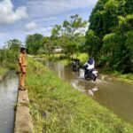 Warga Pammesakang Keluhkan Air Irigasi Meluap, Minta Pemerintah Tuntaskan Pembangunan