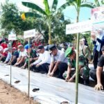 Gubernur Sulsel Dorong Pemanfaatan Pangan Lokal Lewat Kebun Hortikultura di Bone