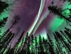 Menyaksikan Aurora Borealis di Tromsø Liburan Musim Dingin Terbaik