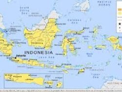 Analisis Dampak Politik Dinasti Terhadap Efektivitas Tata Kelola Pemerintahan di Tingkat Provinsi dan Kabupaten