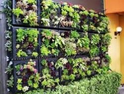 Cara Membuat Taman Vertikal Sederhana Di Dinding Samping Rumah Yang Masih Kosong