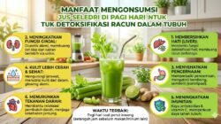 Manfaat Mengonsumsi Jus Seledri Di Pagi Hari Untuk Detoksifikasi Racun Dalam Tubuh