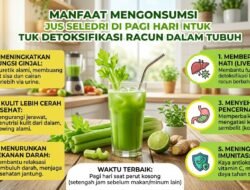 Manfaat Mengonsumsi Jus Seledri Di Pagi Hari Untuk Detoksifikasi Racun Dalam Tubuh